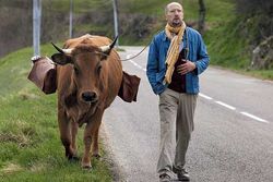 Film «La vache»: Beschwingtes Abenteuer
