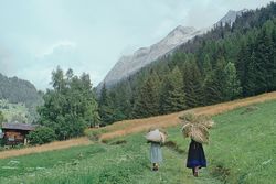 Film: Liebe, Tod und Teufel