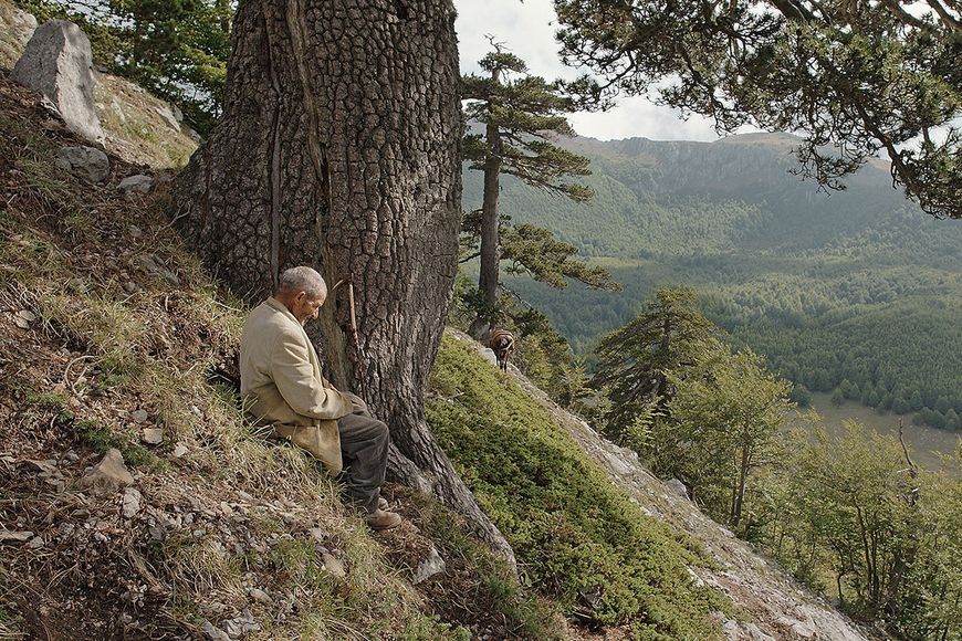 Film: Reise ins Innere