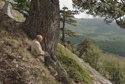 Film: Reise ins Innere