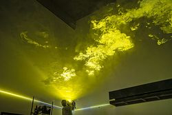 Ausstellung: Die Welt in anderen Farben sehen 