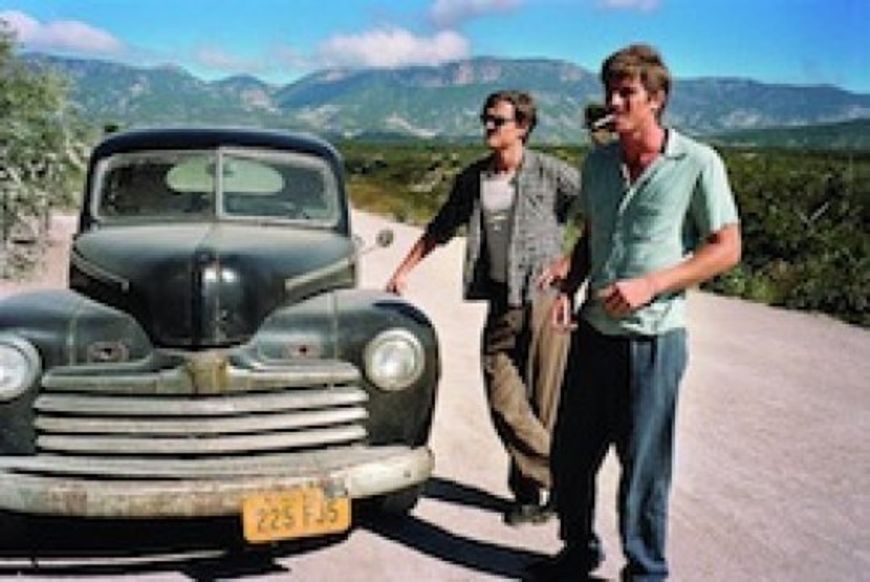 Film - Wild unterwegs auf Freiheitssuche