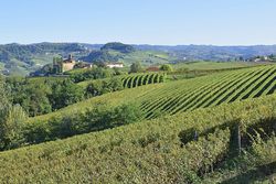 Autofiktion: La dolce vita