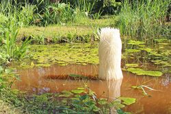 Freiluftausstellung: Im Park wächst gar Sonderbares