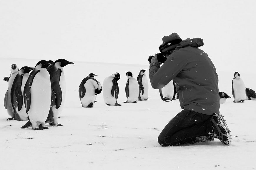 Dokfilmer Luc Jacquet: «Die Antarktis ist wie eine Sucht»