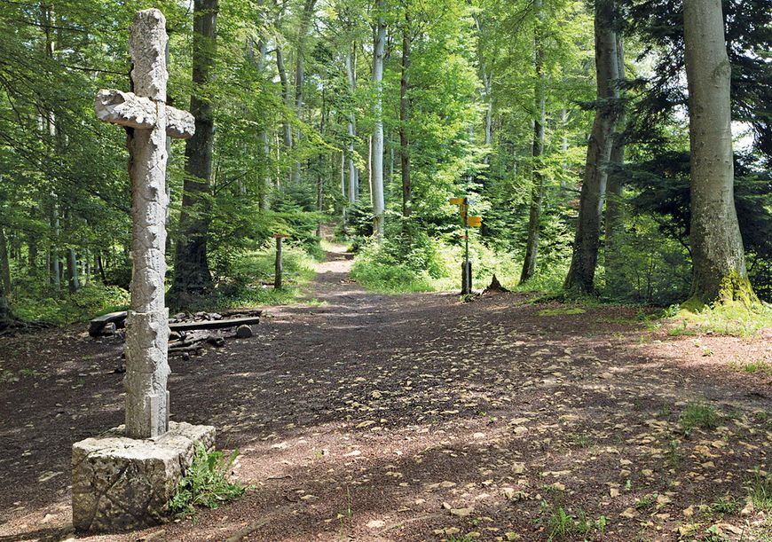 Kultur-Wanderführer: Auf lauschigen Pfaden zum Pilgerort