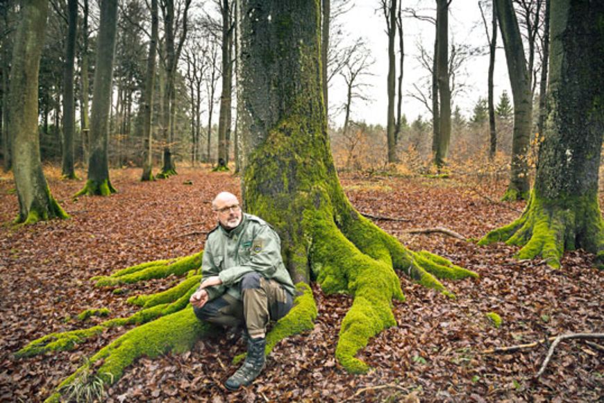Literatur: Die Natur als eine Soap Opera