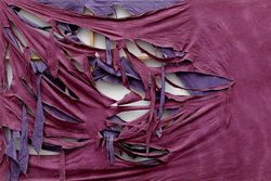 Ausstellung: Michael Buthe (1944–1994). Retrospektive