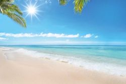 Sommerlektüre: Bücher für die Mussestunden
