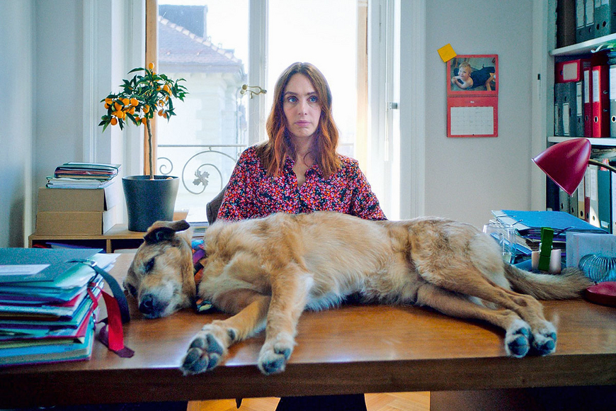 Spielfilm: Auf den Hund gekommen