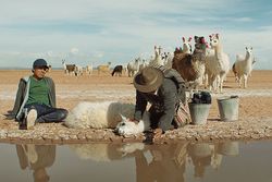 Film: Eine Welt im Wandel