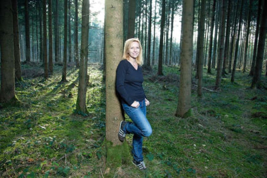 Christine Brand: Im Ameisenhaufen