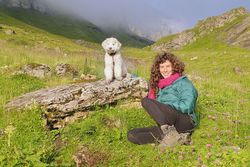 Meret Gut: Herbst auf der Alp  