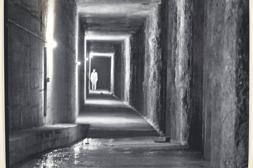 Ausstellung: Der gewagte Blick 