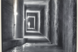 Ausstellung: Der gewagte Blick 