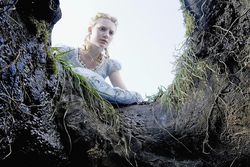 Lange Nacht: Ein Kaninchen und seine Folgen