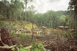 Film: Globale Verbrechen