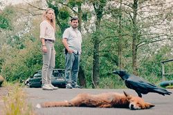 Fernsehen: Alte Seilschaften