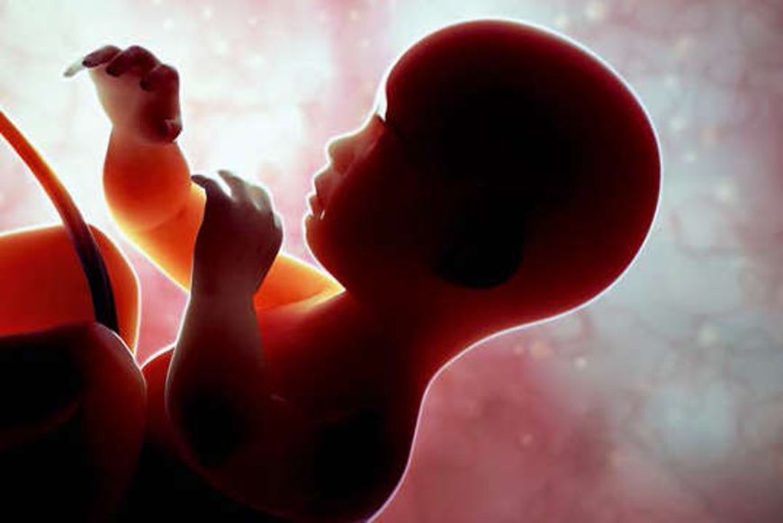 Ian McEwan: Ein naseweiser Embryo kommentiert die Welt