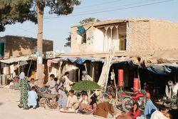 Sachbuch: Warum die Taliban siegten