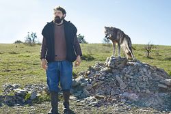 Film: Auge in Auge mit Isegrim 