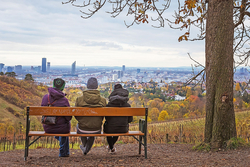 Roman: Der sitzende Flaneur