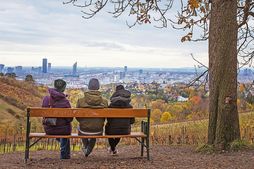 Roman: Der sitzende Flaneur