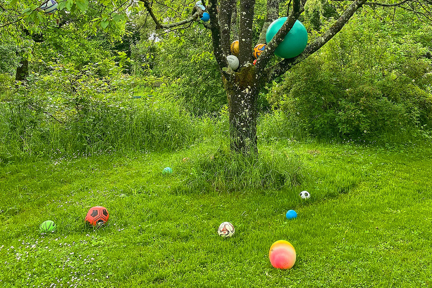 Freiluftausstellung: Asche zu Asche, Baum zu Baum 