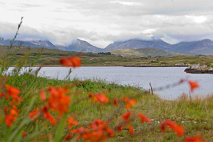 Claire-Louise Bennett: Dem Mysteriösen auf der Spur