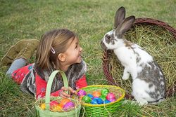 Ostern: Bühne frei für Meister Lampe 