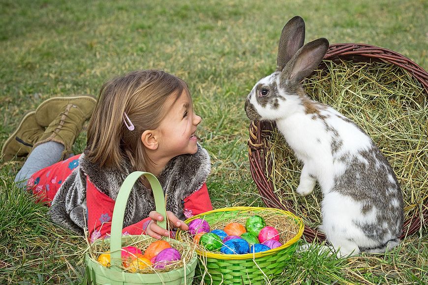 Ostern: Bühne frei für Meister Lampe 