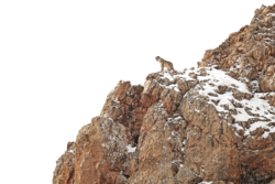 Reisebericht: Warten in der Wildnis