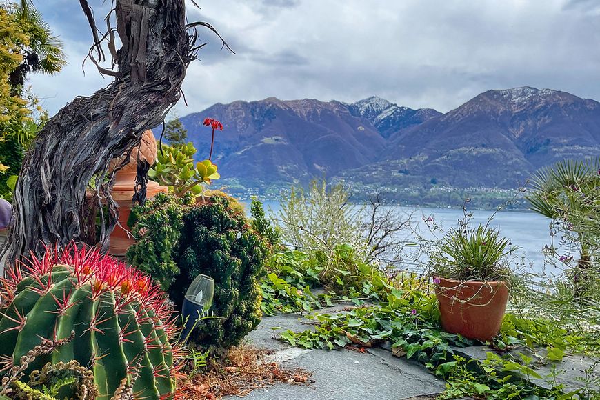 Gartenkultur: «Der Garten ist ein Spiegelbild des Menschen»