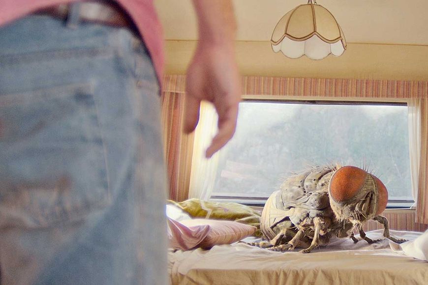 Film: Komische Fliege 