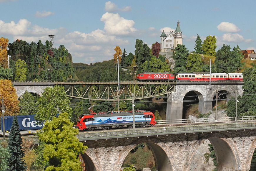 Reportage: Das Leben wuselt in Miniatur