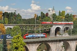 Reportage: Das Leben wuselt in Miniatur