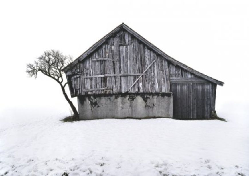 Swiss Photo Collection Wachsendes Bildarchiv