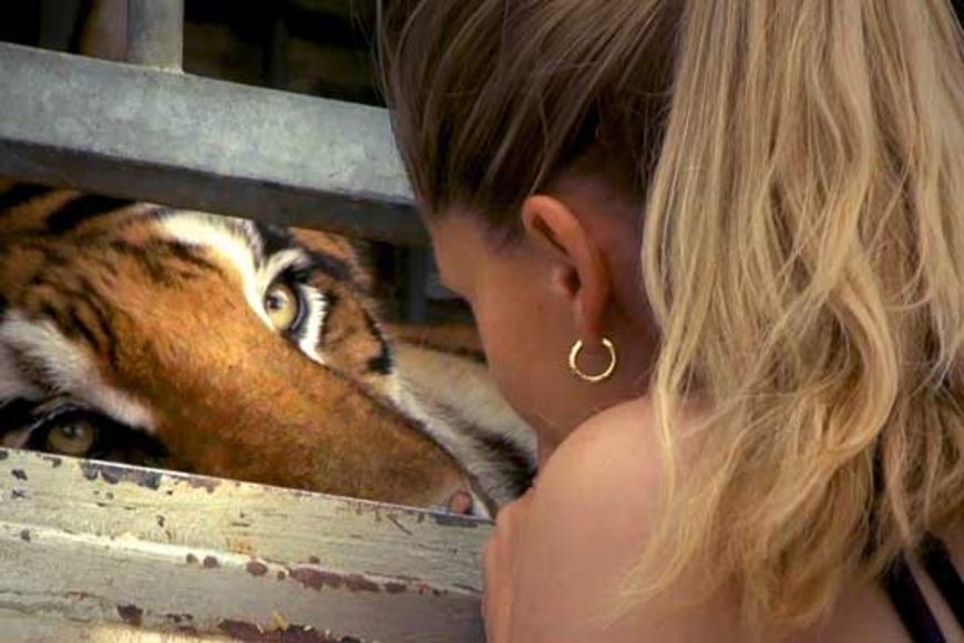 Film «Wild Women – Gentle Beasts»