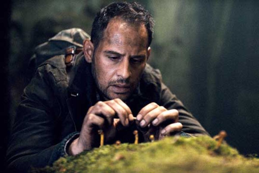 «Die dunkle Seite des Mondes»: Es lockt der Wald