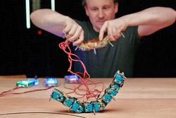Figurentheater: Was tanzt denn da?