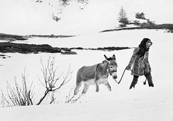 Film: Entscheidung am Simplon