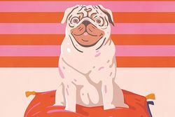 Sachbuch: Von Mops und Mensch