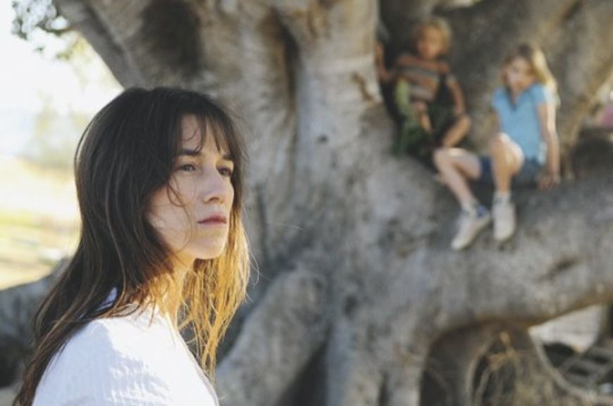 «THE TREE» Die Kraft des Trostes