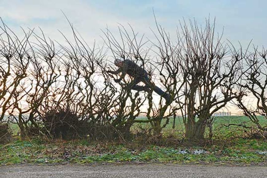 Film: Kunst aus Wind und Wetter