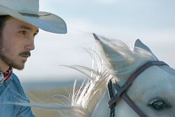 Film «The Rider»: Der Traum vom Reiten