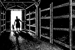 Film: Das falsche Leben