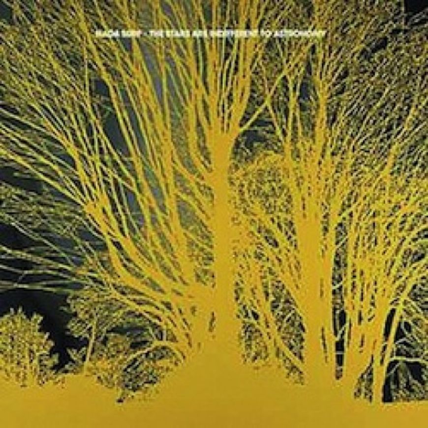 Sounds - Unkomplizierte Indie-Stars