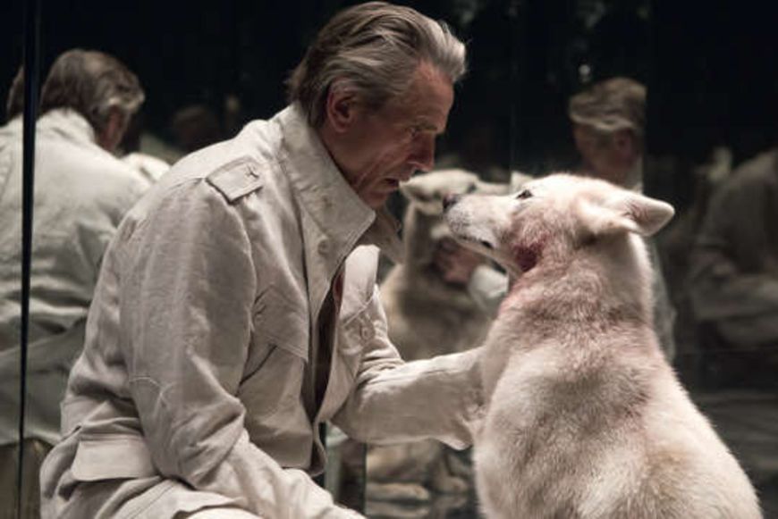 Film «High-Rise»: Leben im Turm