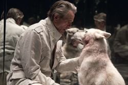Film «High-Rise»: Leben im Turm