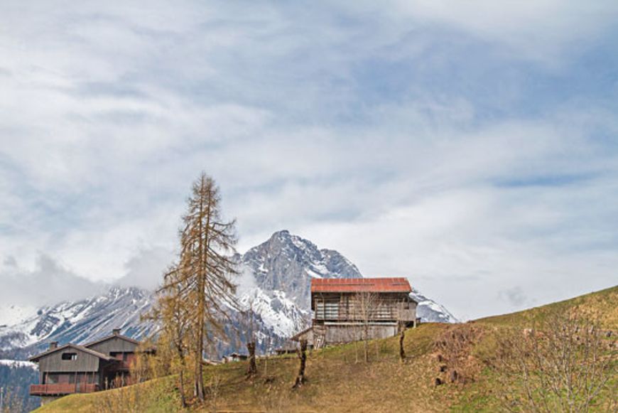 Roman: Im Einklang mit der Natur